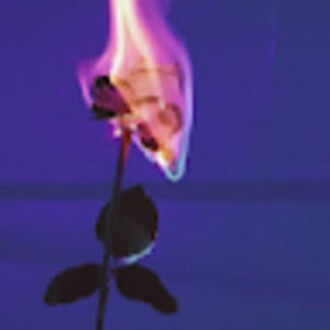 Meet your Posher, Aisling